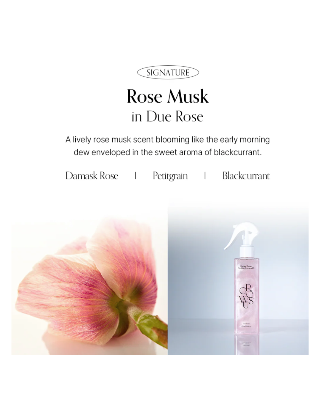 GROWUS Damage Therapy No-Wash Treatment EX